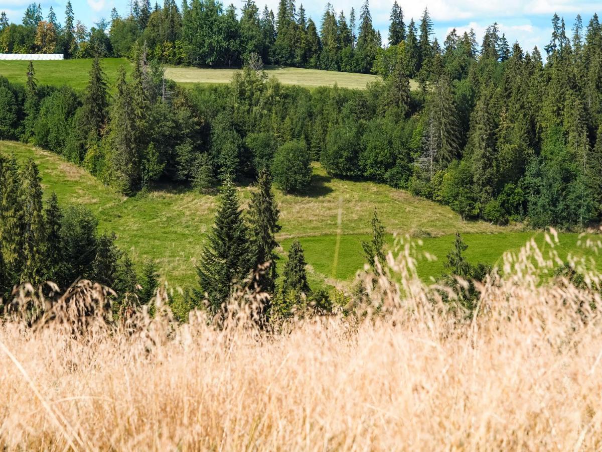 Villa Owczarnia Tatry Bukowina Tatrzańska Esterno foto