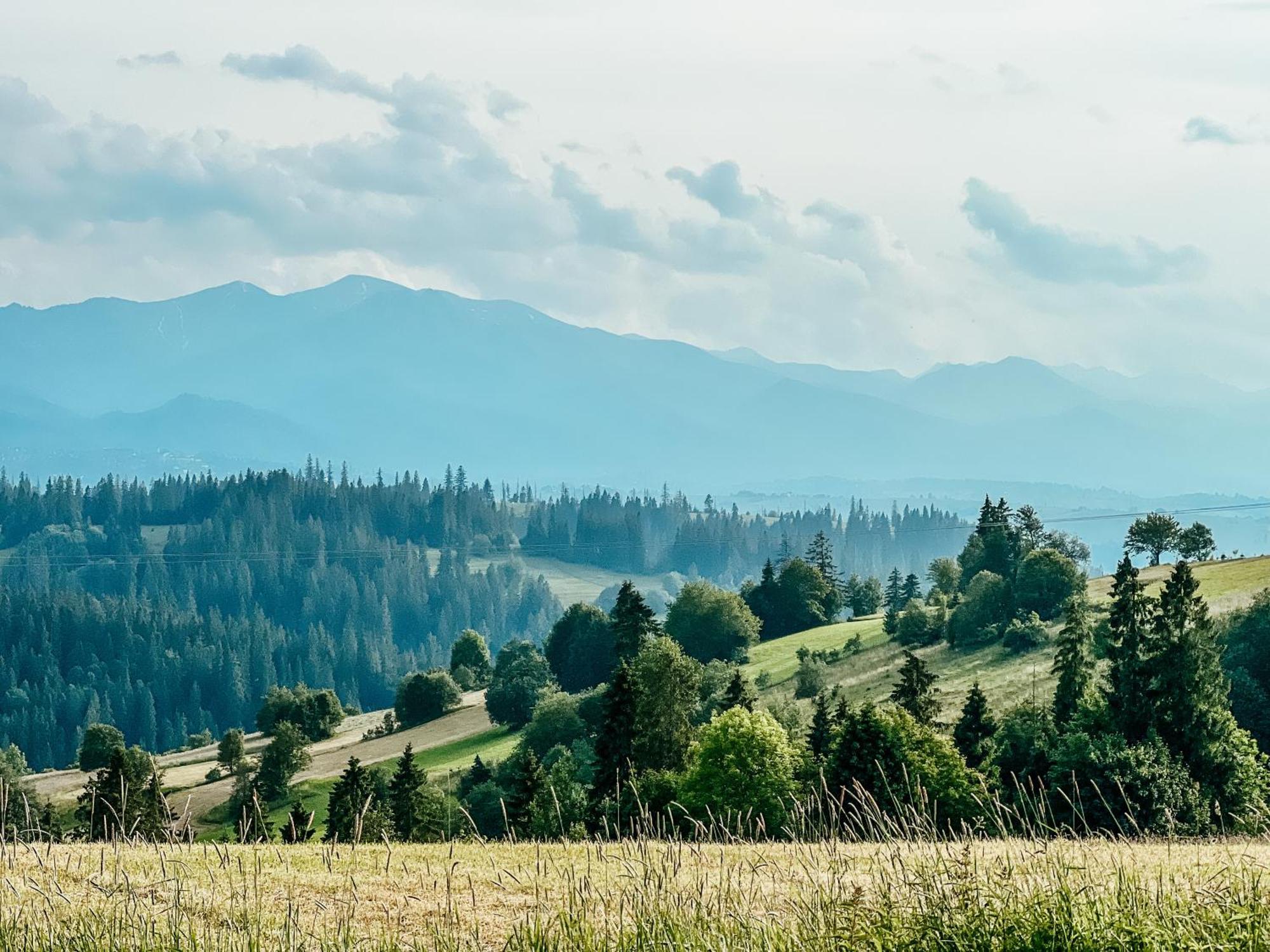 Villa Owczarnia Tatry Bukowina Tatrzańska Esterno foto